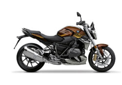 SIG 1261 02 BMW R1250R Raise Silver Saffron Yellow Stickers Option 719 right